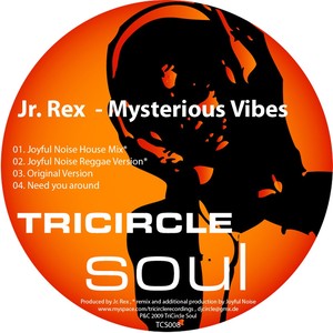 Mysterious Vibes (incl. Joyful Noise Mixes)