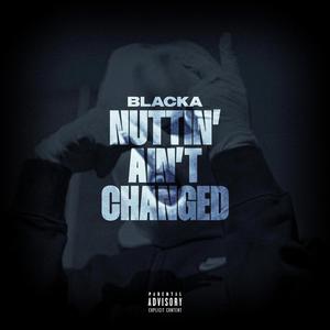 Nuttin' Ain't Changed (feat. #ZT & Blacka) (Radio Edit|Explicit)