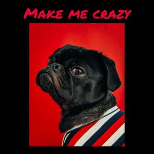 Make Me Crazy