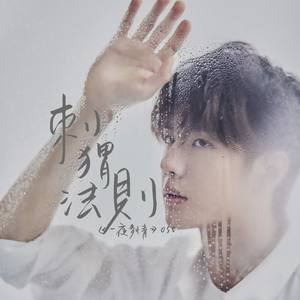 博君一肖 | 刺猬法则