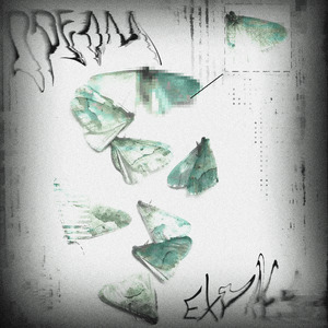 Dream Express (Slowed)