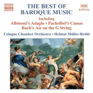Concerto for Oboe and Violin in C Minor, BWV 1060: Concerto in D Minor for Two Violins - Largo ma non tanto