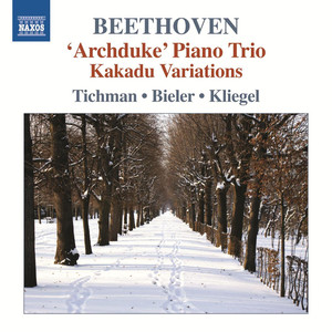 BEETHOVEN, L. van: Piano Trios, Vol. 5 - Piano Trios No. 7, "Archduke" and WoO 38 / Variations on Ich bin der Schneider Kakadu (Xyrion Trio)