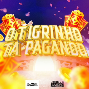 O Tigrinho Ta Pagando