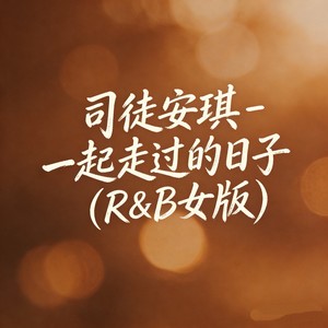 一起走过的日子 (R&B女版)封面