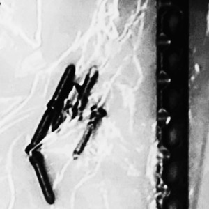 Rage On Stage (Explicit)