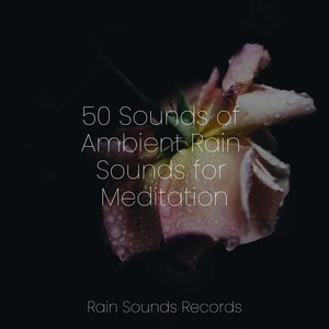 Forest Sounds - Rushing Waters' Lullaby