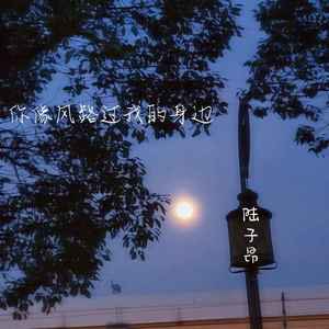 你像风路过我的身边封面