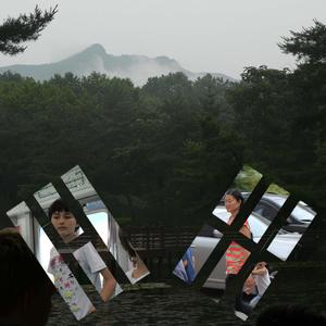 When Trees Start to Shake