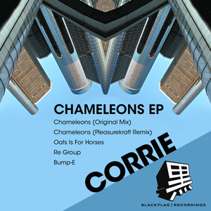 Chameleons (Pleasurekraft Remix)