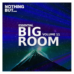 Nothing But... Essential Big Room, Vol. 11