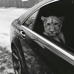 Aşk Kaç Beden Giyer (Slowed)