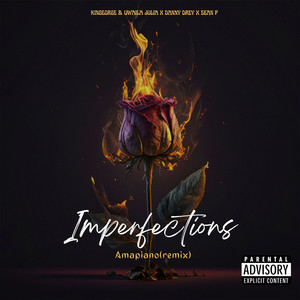 Imperfections (Remix) [Explicit]