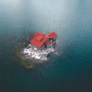 Without You (Explicit)