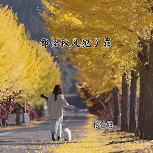 都怪秋风犯了罪