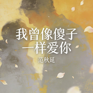 我曾像傻子一样爱你