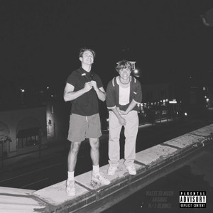 Waste So Much (Explicit)