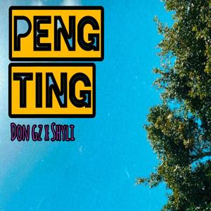 Peng ting (feat. $hyli) (Explicit)