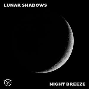 Lunar Shadows