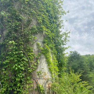 killa(feat. E.T) (Explicit)