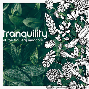 Tranquility of the Flowery Meadow – 1 Hour of Nature Sounds Collection for Rest, Sleep, Meditation, Study and Yoga, Spa Relaxation, Healing Therapy, Positive Thinking