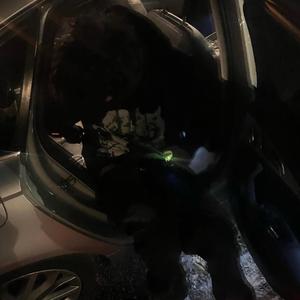 5thou - cps (feat. elijxhwtf & snakechildpain) (Explicit)