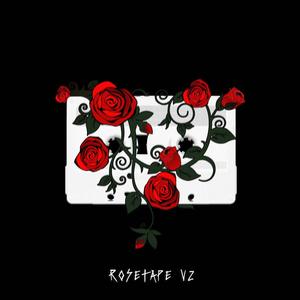 Rosetape V2