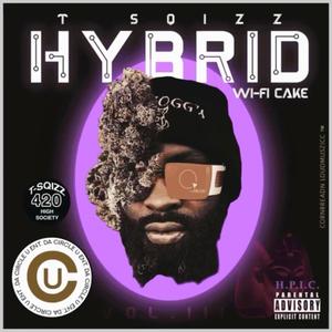 HYBRID: WI-FI CAKE (Explicit)