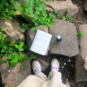 leben ist gut (Explicit)