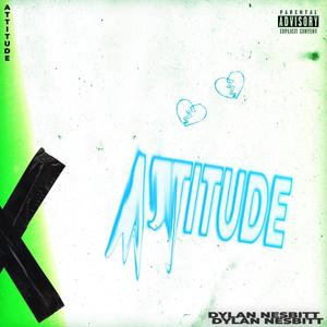 Attitude (Explicit)