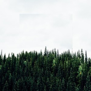 Dranthoryl Zyphoryn (Original Mix)