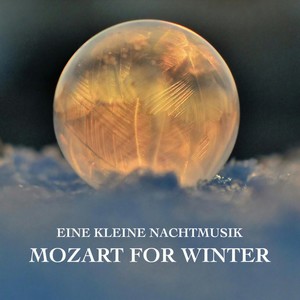 Mozart: Eine kleine Nachtmusik - Allegro (Excerpt)