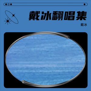 玩够了没有封面