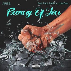 Because of You (feat. Lotta Bars & Paul Marz) (Explicit)