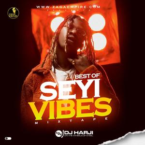 Best of Seyi Vibez Mix (2022)