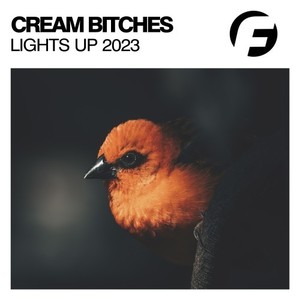 Lights Up (Mike La Costa Remix)