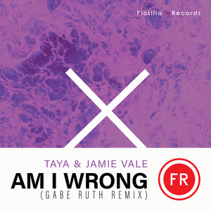 Am I Wrong (Gabe Ruth Remix Extended Mix)