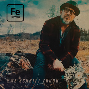 Zwe Schritt Zrugg (Radio Edit)