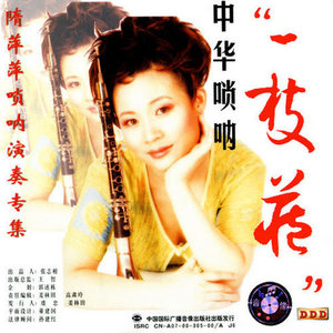 正月十五闹雪灯 (D调唢呐)