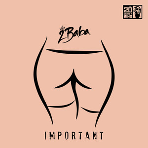 Important (Explicit)