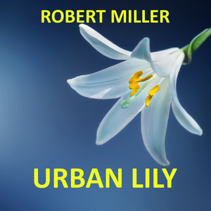 Urban Lily