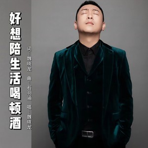 好想陪生活喝顿酒 (伴奏)