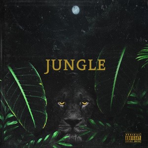 Jungle