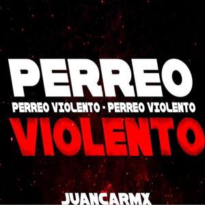 PERREO VIOLENTO