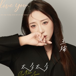 太多太多 (DJ默涵版)