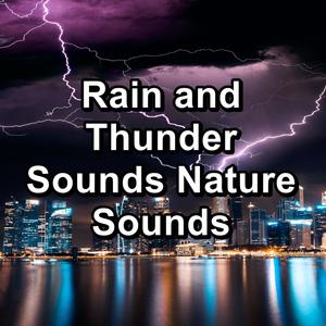 Heavy Rain Droplets To Help You Take A Nap