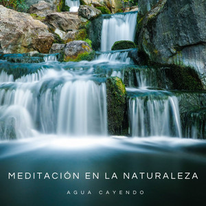 Meditación En La Naturaleza: Agua Cayendo