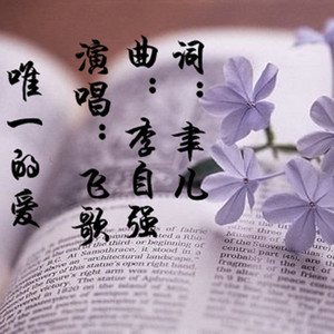 飞歌 - 唯一的爱 (伴奏)