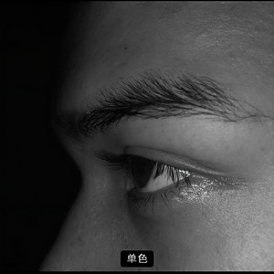 baxtila disang qu 翻唱