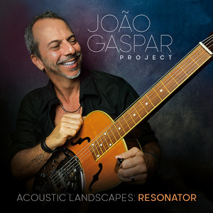 Acoustic Landscapes: Resonator